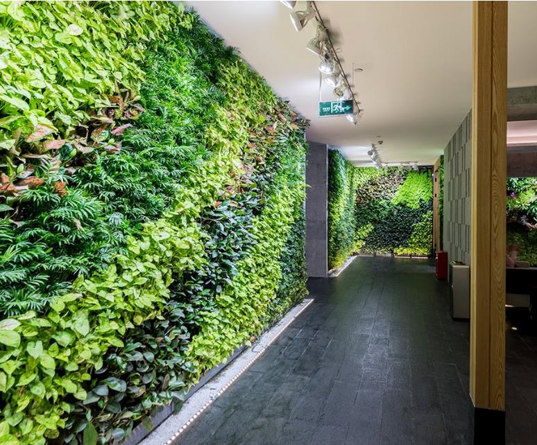 这样的绿植墙办公室，就是一个天然氧吧！