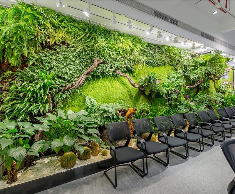 这样的绿植墙办公室，就是一个天然氧吧！