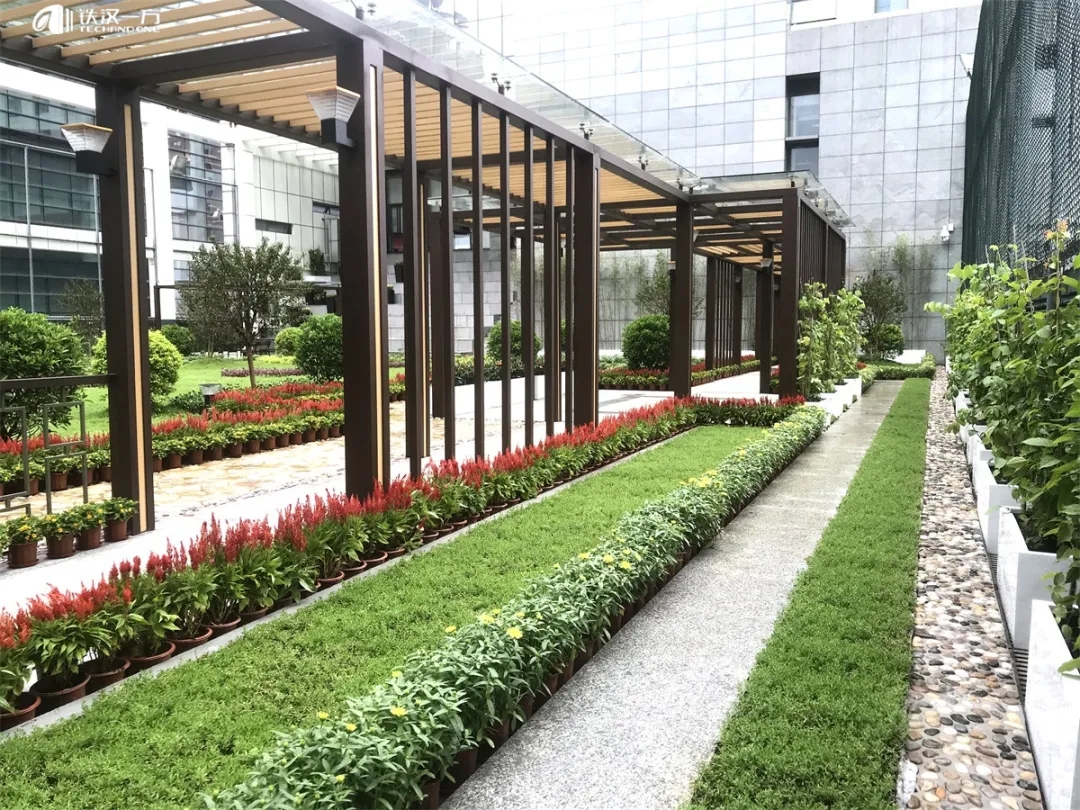 中国建筑绿化网_综合屋顶绿化