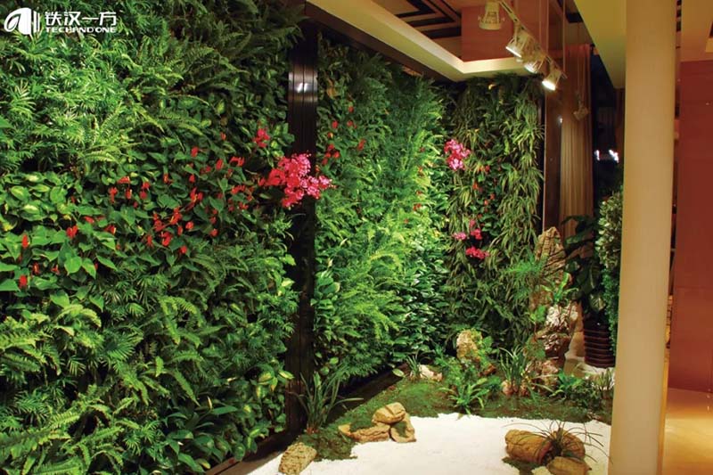 室内植物墙在选择植物种类需要遵循什么原则